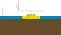 Animation of Coral Growth